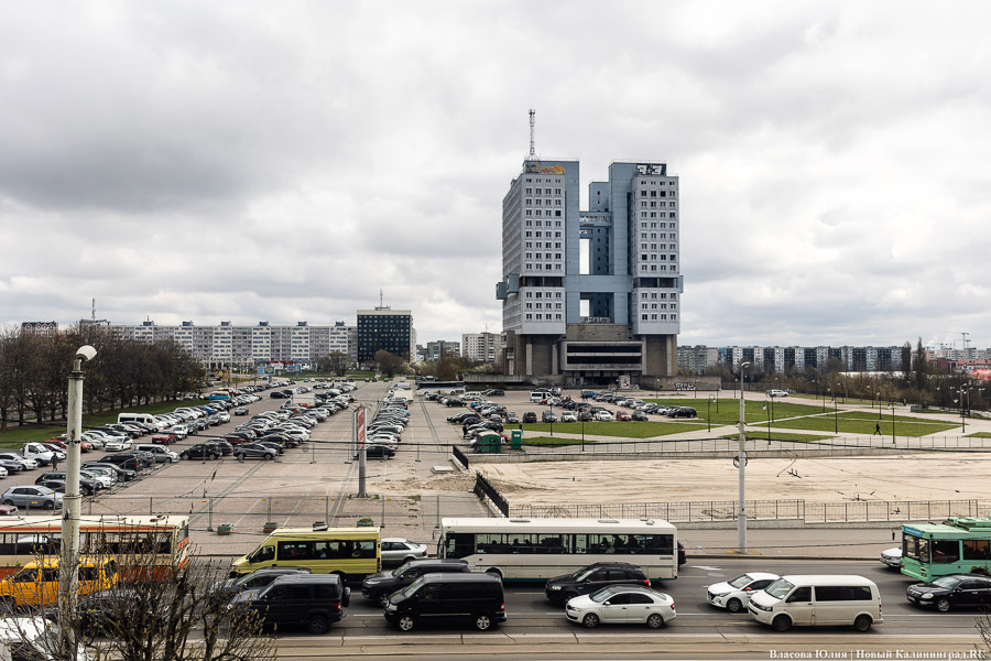 «Победила природа»: на руинах Королевского замка выросла лебеда вместо газона