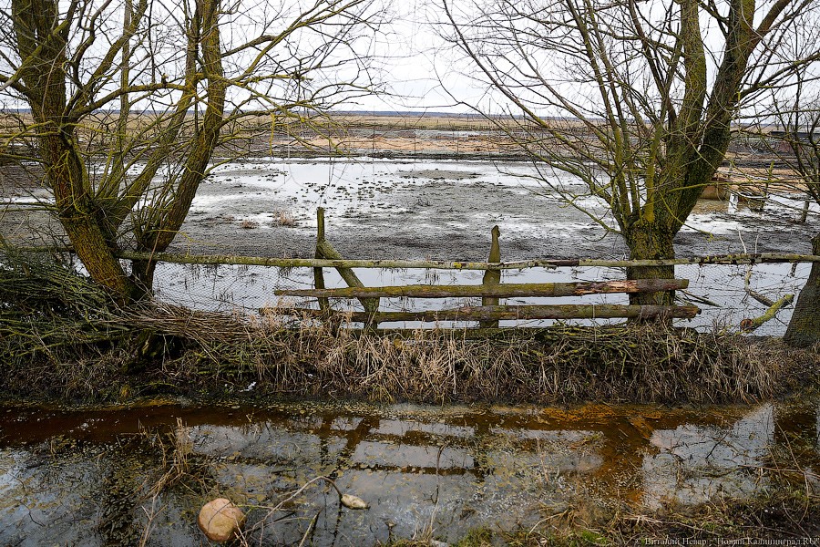 Прокуратура: власти Гурьевска и Славска незаконно распределяли федеральные земли