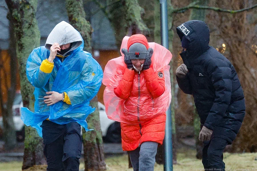 В Калининградской области ожидается усиление ветра