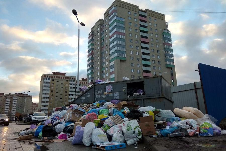 Трем категориям граждан региональные власти пообещали 50% скидку на вывоз мусора