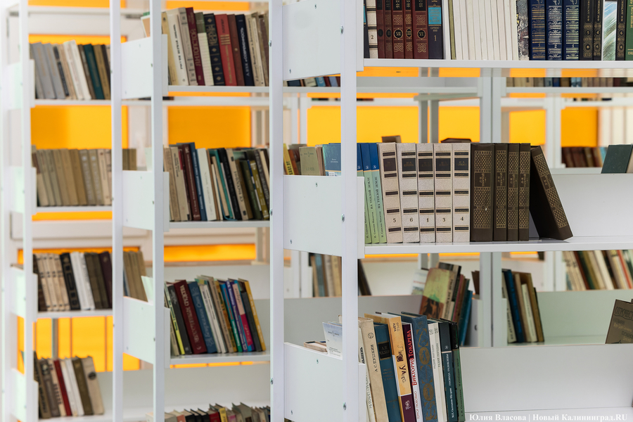 В России в 2,5 раза выросли темпы закрытия книжных магазинов