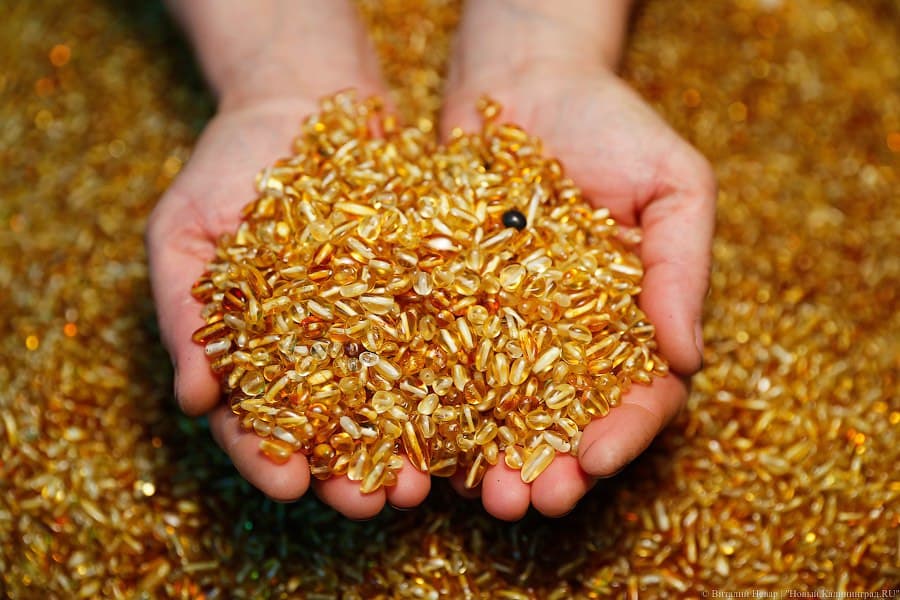 Янтарный комбинат установил рекорд по годовой добыче янтаря в регионе