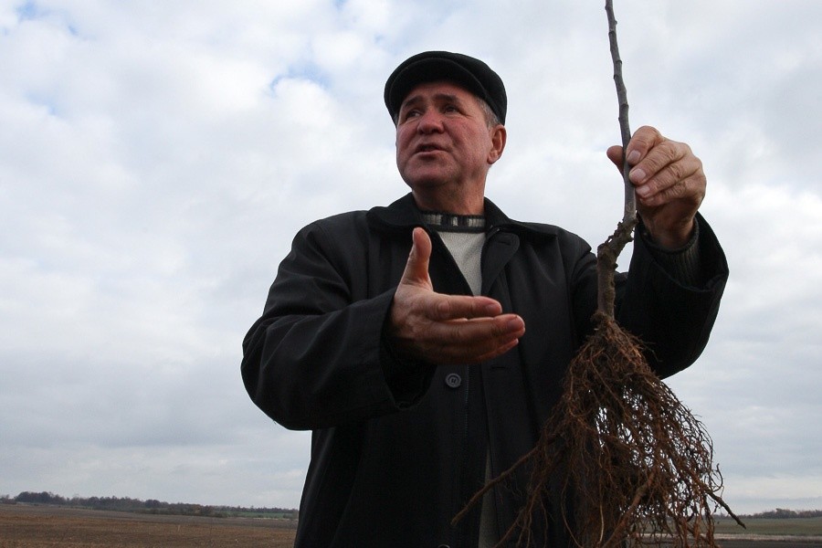 Глава Минсельхоза рассказал, когда в России наступит «полное импортозамещение»