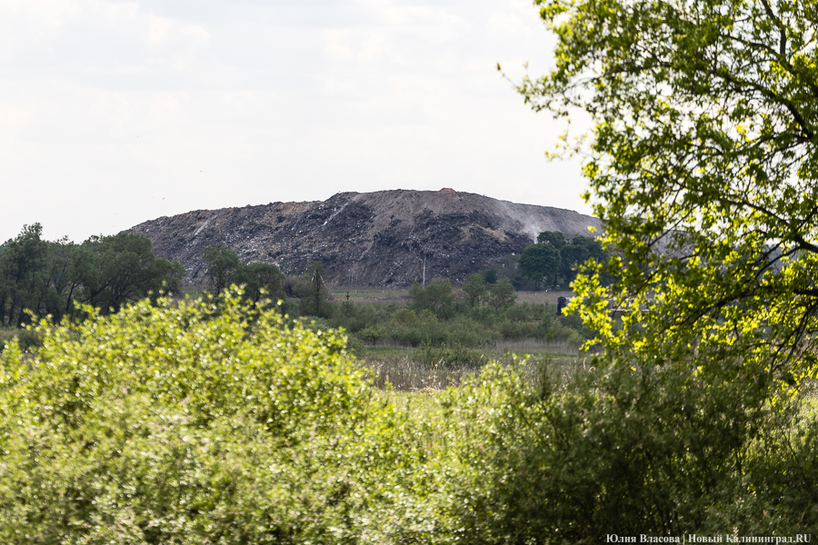 Олег Ступин объяснил, как власти собираются бороться с самовозгоранием городских свалок