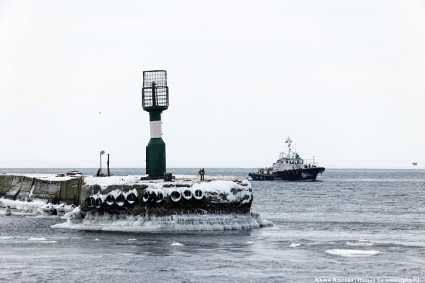 Редкое явление: океанолог о последствиях понижения уровня воды в Балтийском море