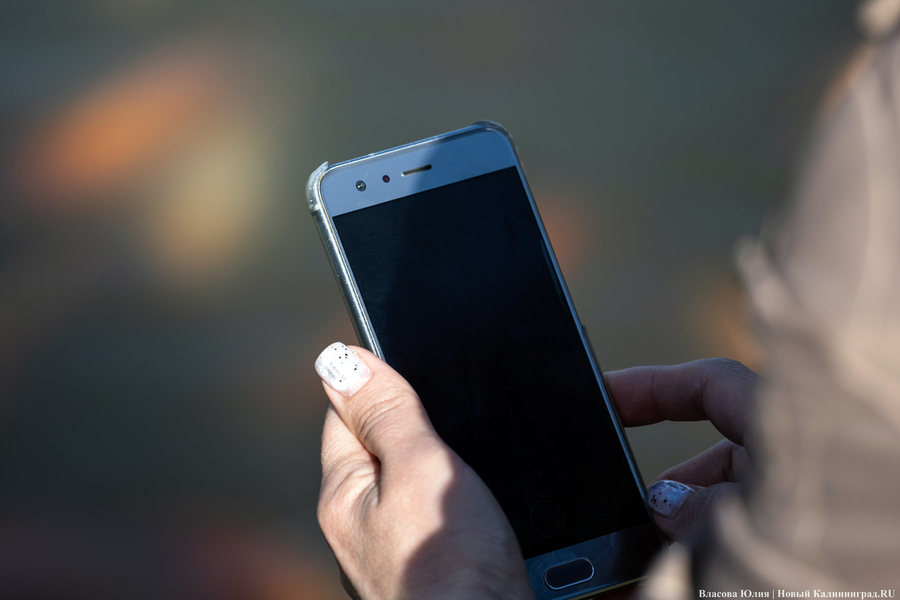 В России выросло число мошенничеств в домовых чатах