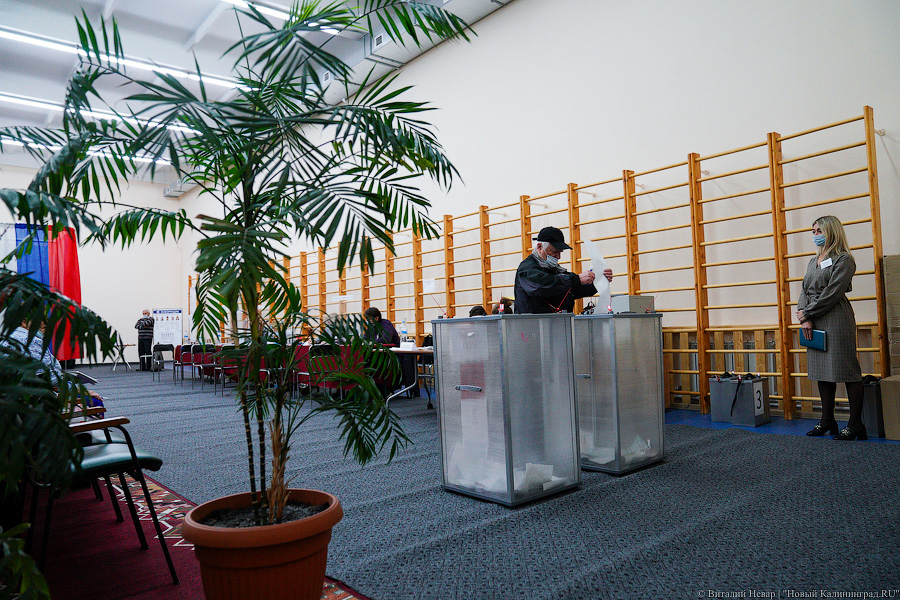 Облизбирком объяснил появление дополнительной тысячи голосов на округе Гинзбурга