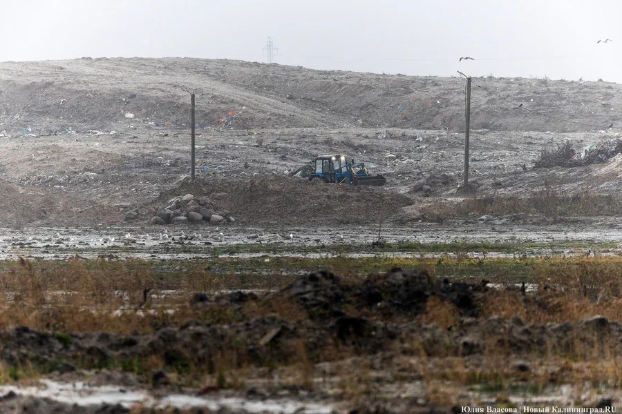 Беспрозванных: сегодня обращений по запаху на свалке в Барсуковке больше нет
