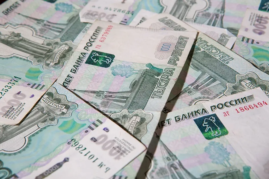 Проект по поиску людей из Калининграда получил президентский грант в 12,9 млн руб.
