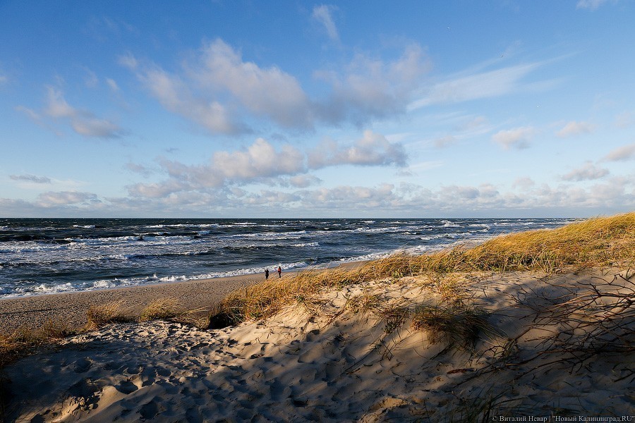Споры за перекоп: зачем властям Польши понадобился канал через Балтийскую косу