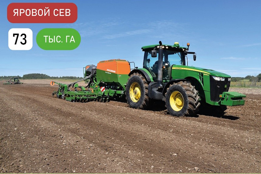 Минсельхоз: в Калининградской области увеличили посадочные площади под картофель (фото)