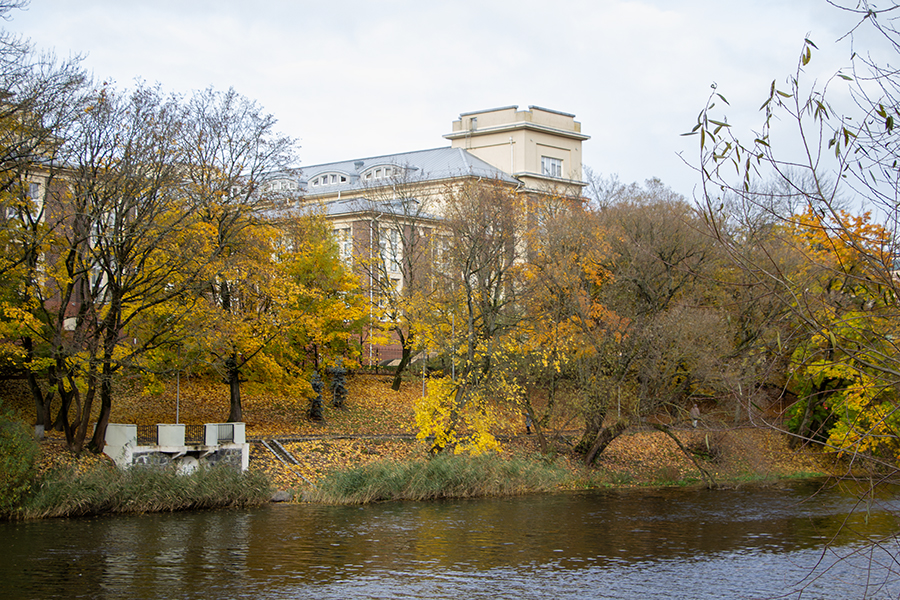 Погода в Калининградской области 8 ноября