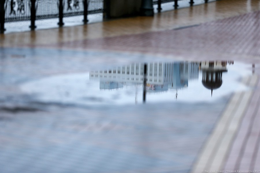 Синоптики прогнозируют пасмурные и дождливые выходные