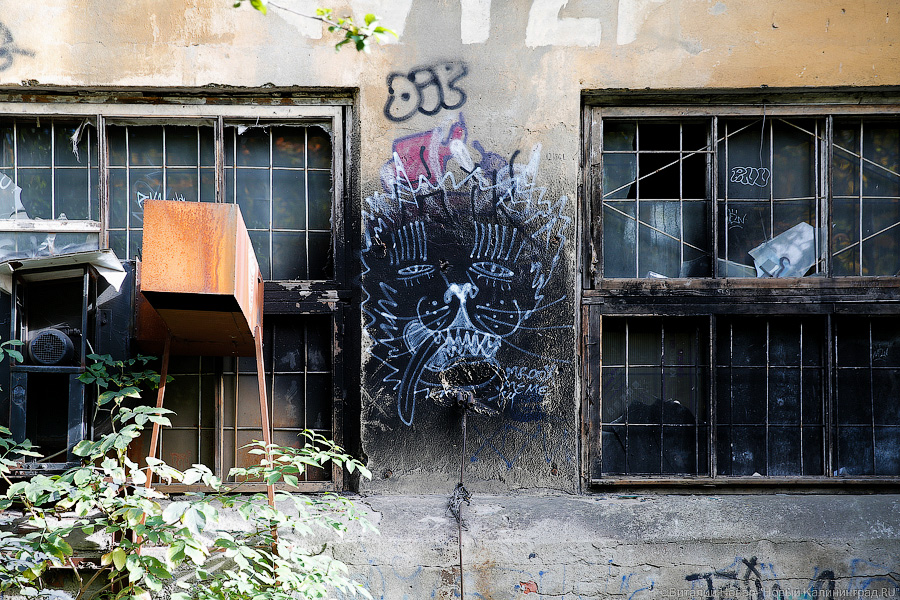 Здания бывшего завода «Система» на Нижнем озере продают за 156 млн рублей