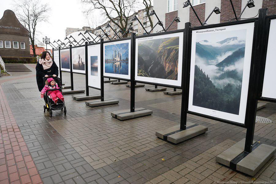 В Музее Мирового океана открылась выставка молодых фотографов Кавказа