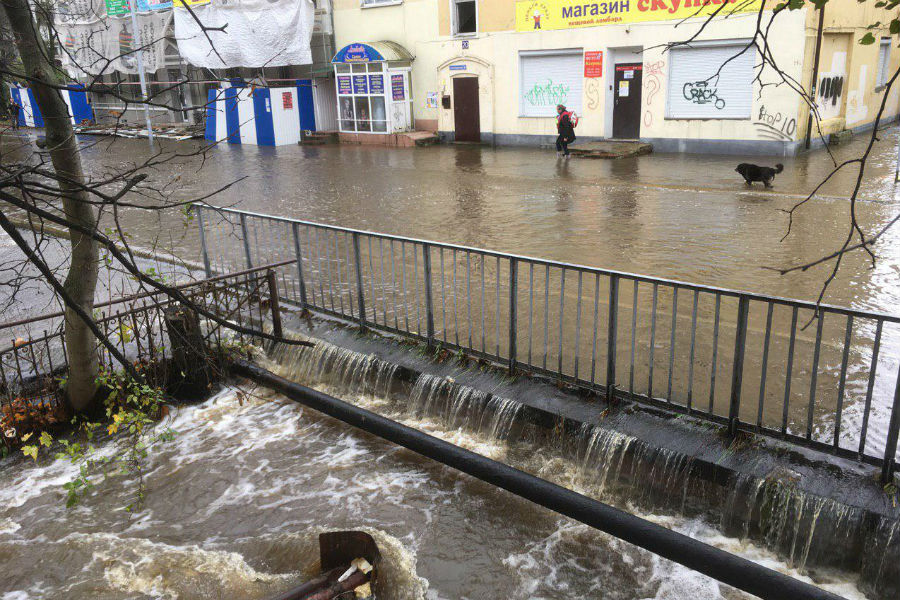Мэр Калининграда: «Ковчег строить не надо»
