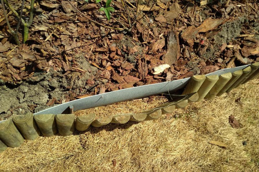 Калининградцы вытоптали новый сквер за 150 млн на его открытии (фото)