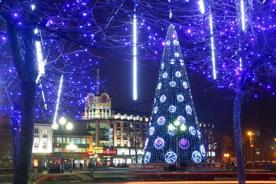 Новая ель и световой фонтан: на новогоднее оформление центра Калининграда выделяют 56 млн