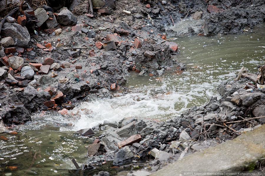 Около бывшей «Сказки» строители завалили глиной русло Паркового ручья (фото)
