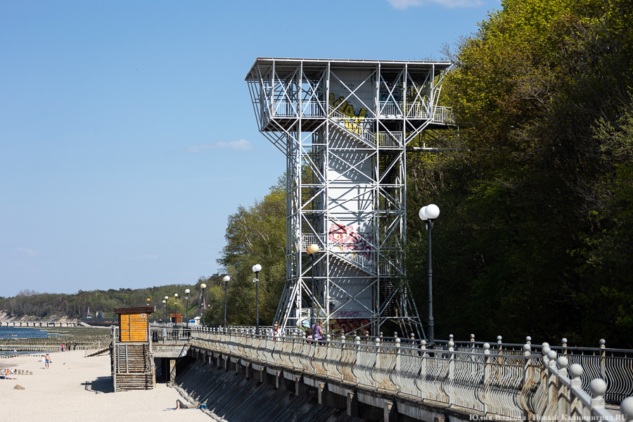 Власти Пионерского сдают в аренду землю в пос. Рыбное под жилую застройку