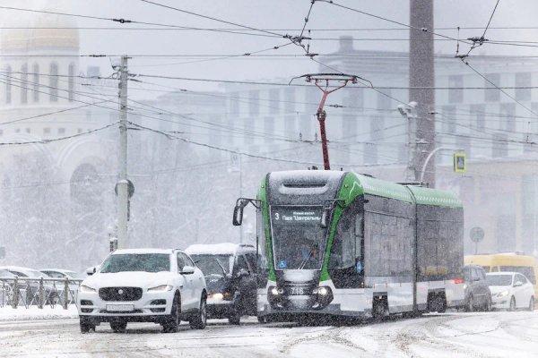 Вечерний@Калининград: грядущий коллапс, вакансии недели и строганина в главной роли
