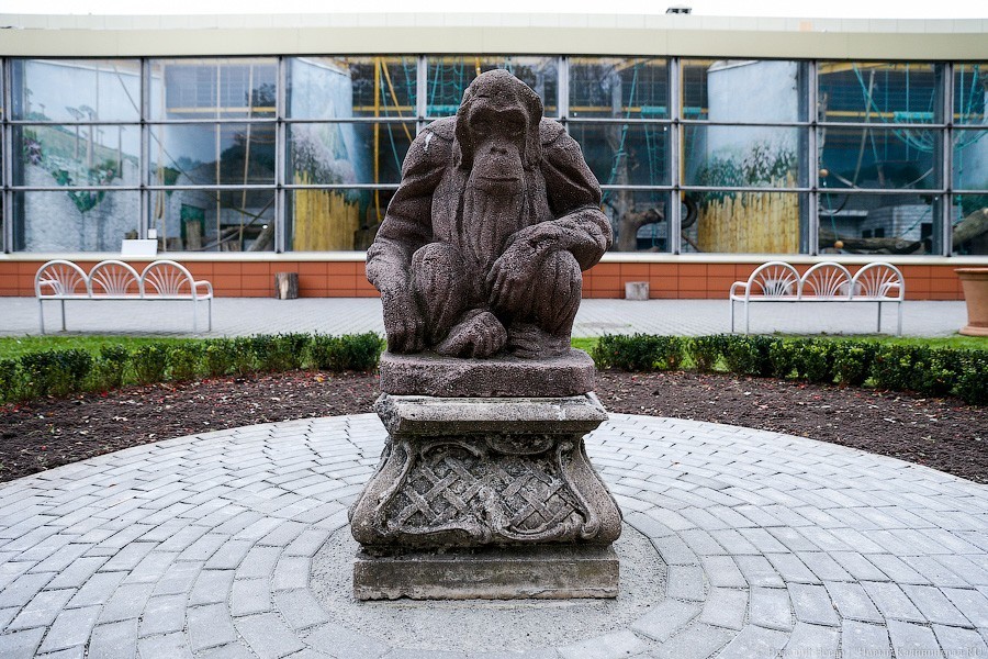 В зоопарке на «Музейную ночь» покажут световую видеоинсталляцию 