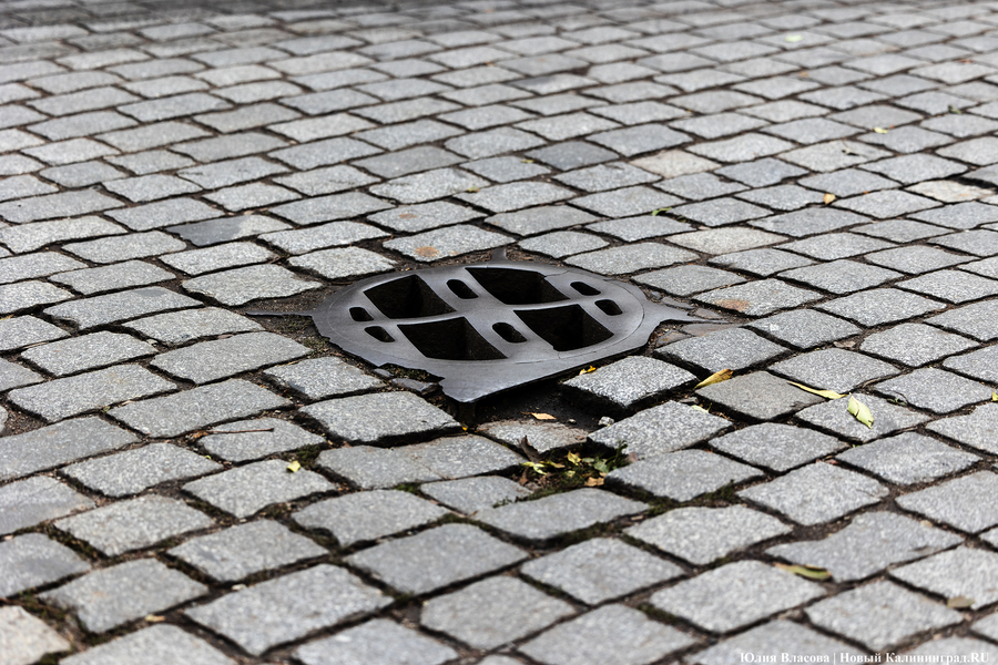 Горвласти: пока нет речи о снятии брусчатки на улице Радищева