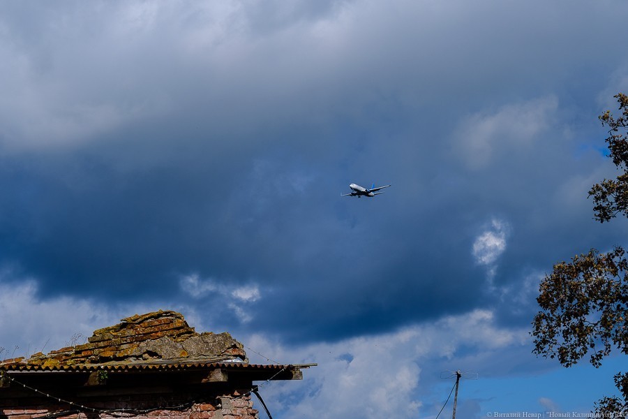 Россия с 23 марта приостанавливает авиасообщение со всеми странами