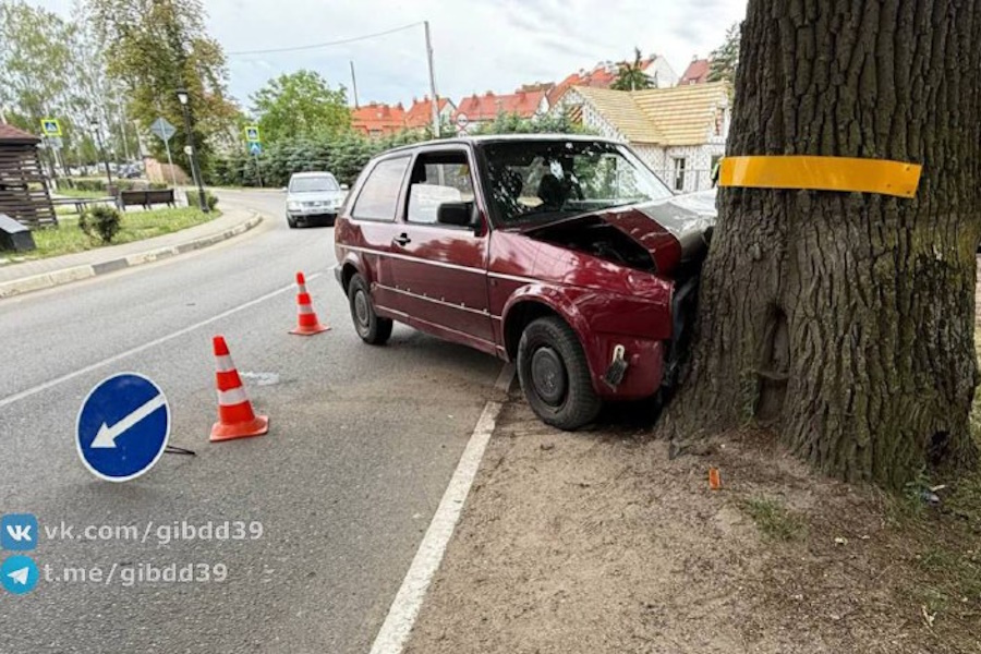 В ДТП под Железнодорожным пострадали два ребенка