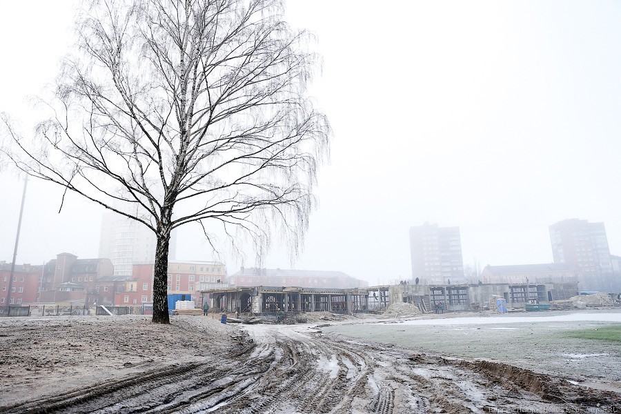 Власти продали землю у «Рыбной деревни-2» дешевле кадастровой стоимости