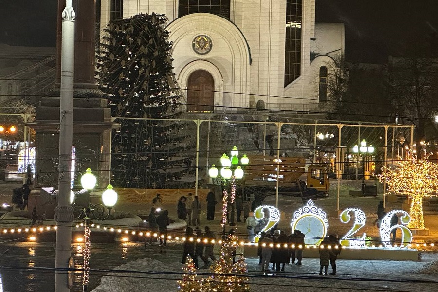 Дятлова: подрядчику поставлена задача восстановить сломанную елку за сутки