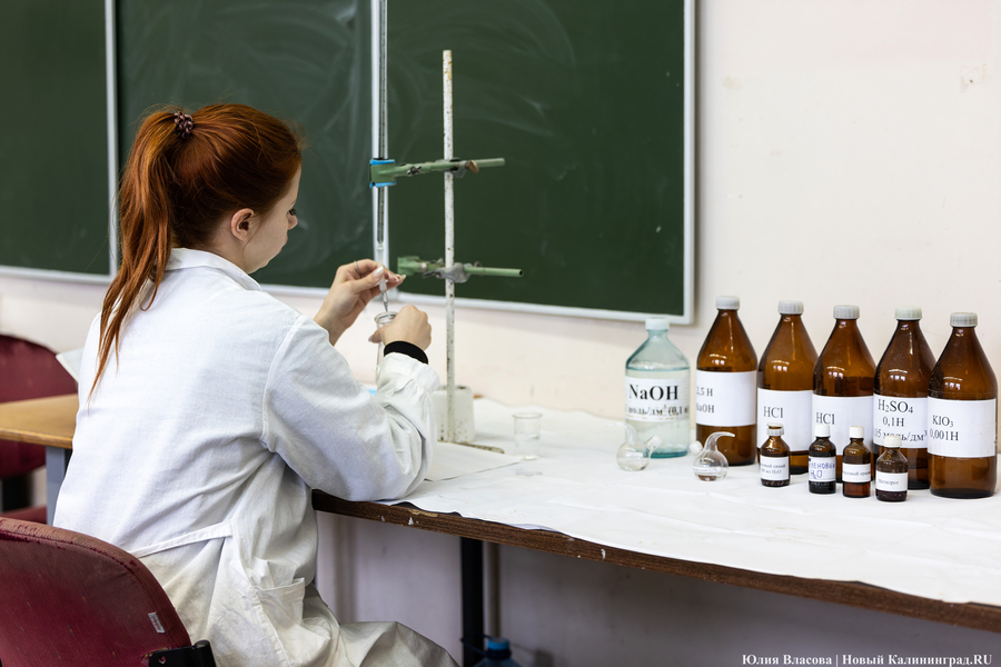 Минпросвещения: популярность целевого обучения в колледжах выросла за пять лет