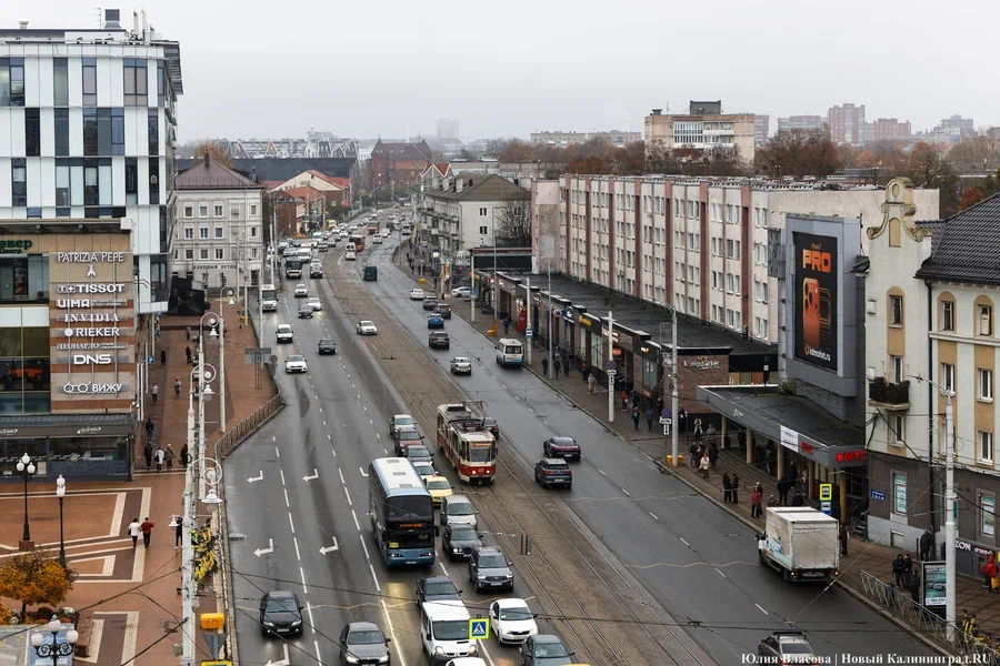 Эксперты рассчитали долю семей региона, которые могут купить новое авто в кредит