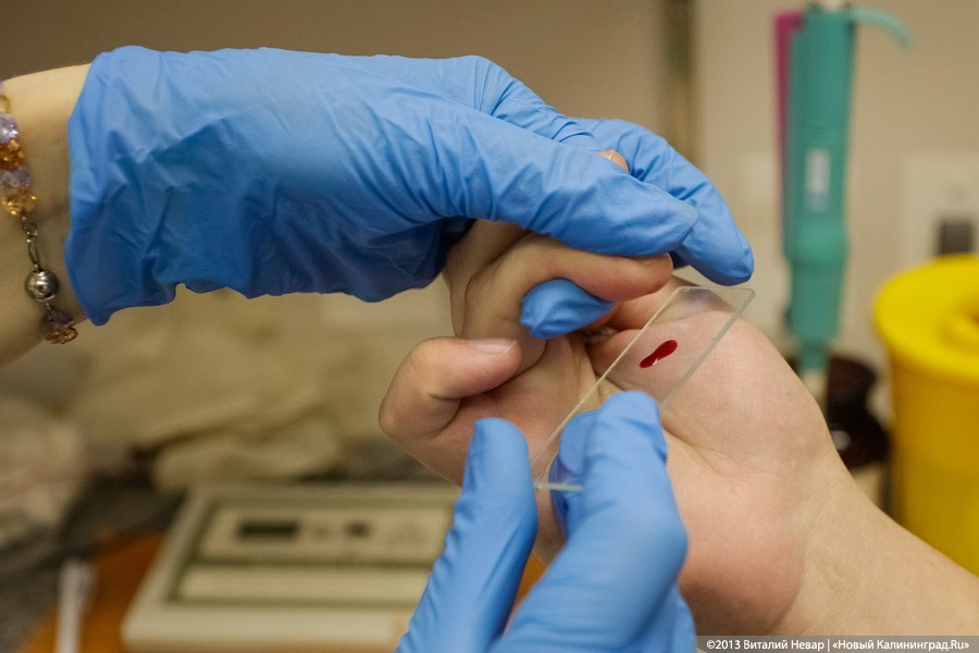 В 2018 году два десятка калининградцев подверглись нападению диких животных