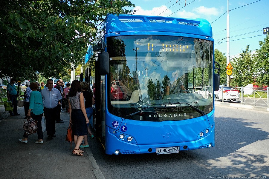 Рольбинов заявил, что электробусы для Калининграда — «достаточно дорогая история»