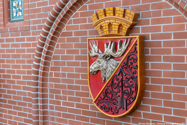 Вечерний@Калининград: германизации — бой, уроки выживания и активные выходные