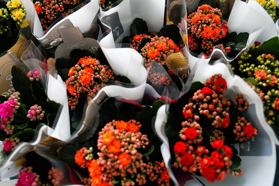 Мэрия Калининграда хочет подарить женщинам на 8 Марта концерт и 10 букетов цветов