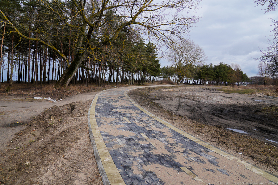 Власти объяснили, почему сроки ввода 1-й очереди велодорожки «от косы до косы» сдвинуты