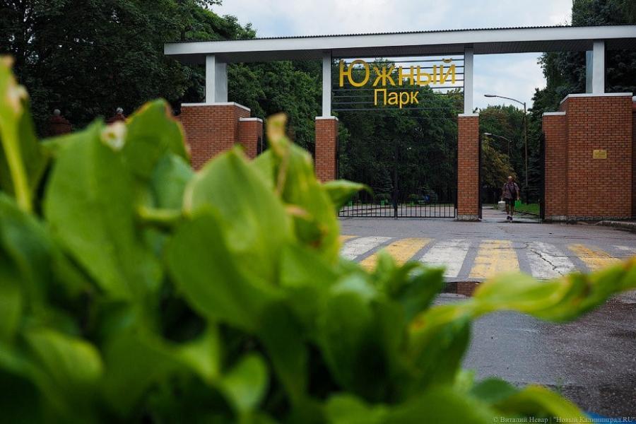 Торги на благоустройство Южного парка выиграны с понижением стартовой цены на 1600 руб.