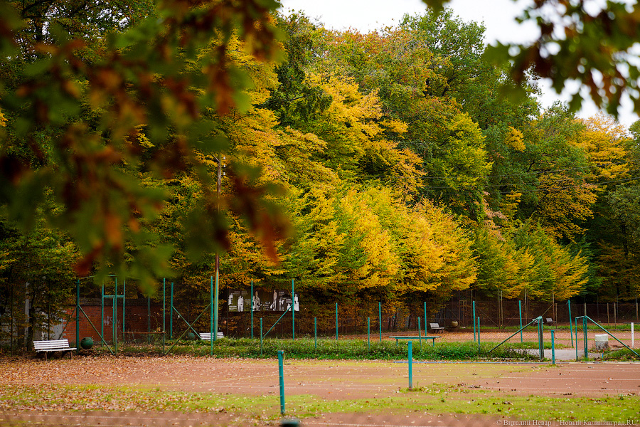Суд приостановил действие разрешения на застройку стадиона «Спартак»