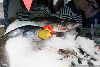 «Большая жратва»: 8-й  День селедки в Калининграде