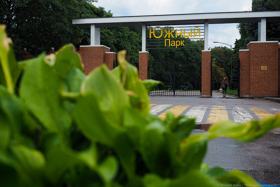 Участок под цирк в Южном парке переводят в зеленую зону