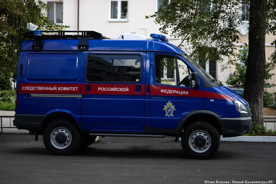 СК: обвиняемый в нападении с ножом на ребенка житель Мамоново подлежит лечению
