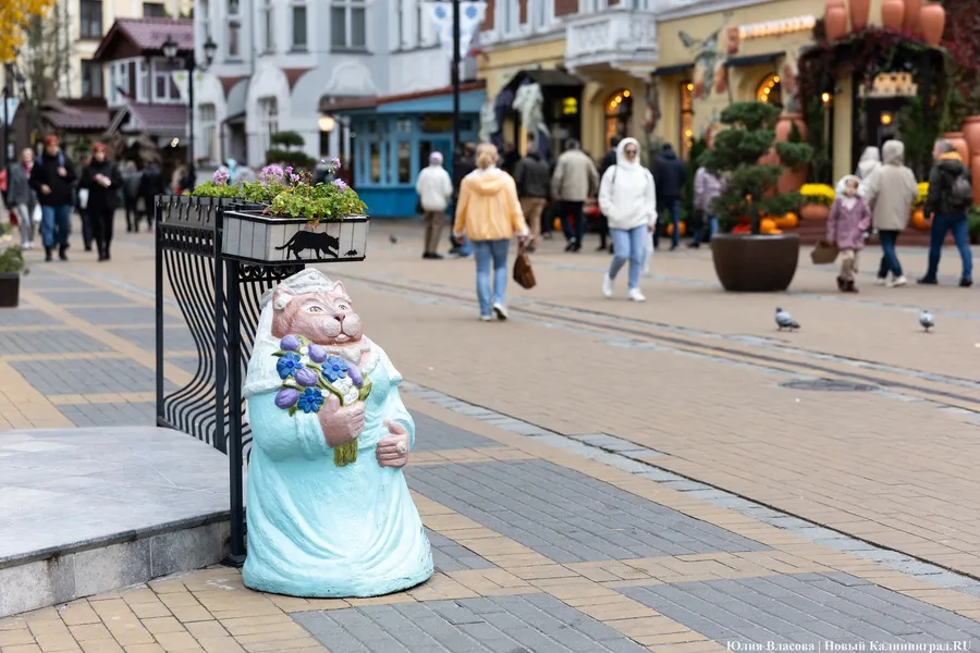 На выборы в Зеленоградске ЕР выдвинула действующего депутата от КПРФ