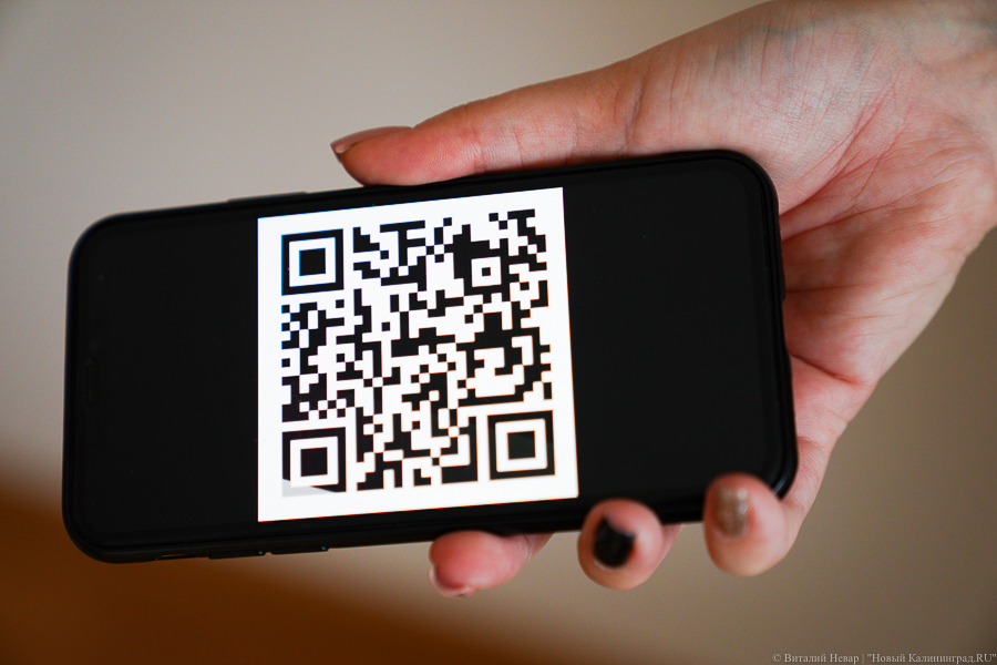 В России начали выдавать QR-коды на основании наличия антител к COVID-19