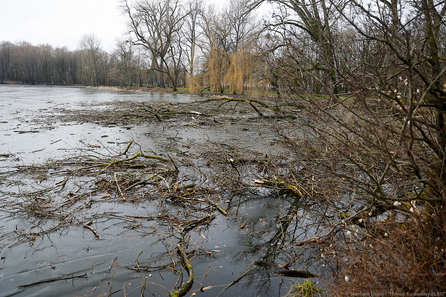 В Полесском округе утонул рыбак, упавший с понтонного моста в реку