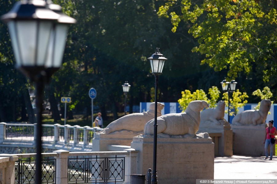 Карантина нет, работы нет: монолог калининградца, оштрафованного за чтение на лавке