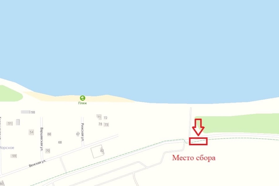 Минприроды предложило калининградцам убраться за отдыхающими в Куликово