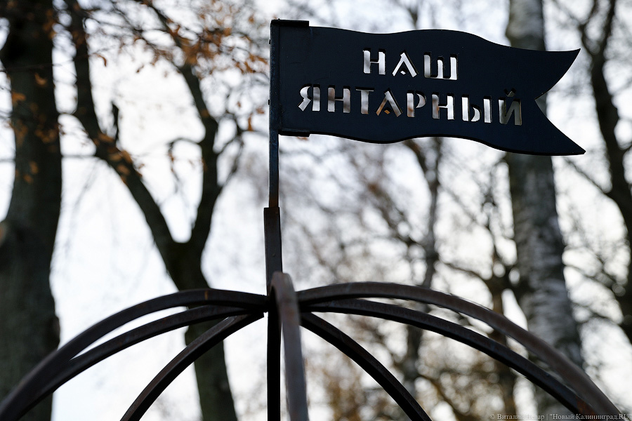 Пятикоп: ситуация простая, Алиханов не является работодателем Заливатского