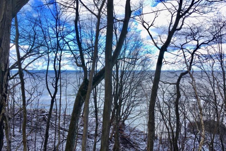 Как Алиханов «спасает» зеленые зоны. Рассказываем на примере Отрадного